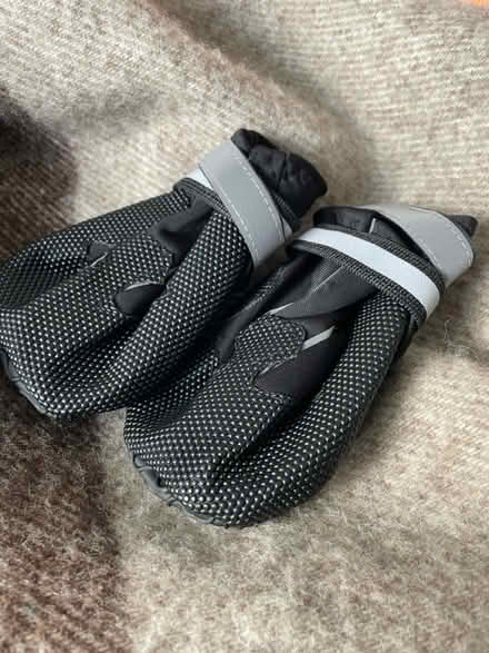 Photo of free 2 pairs of Toddler water shoes new (Musselburgh) #1