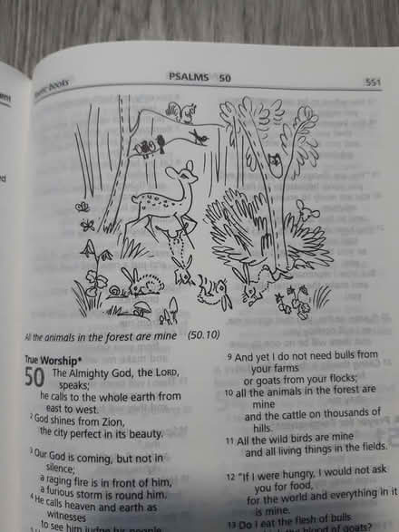 Photo of free Good New Bible, kids/youth edition (Edinburgh EH17) #3