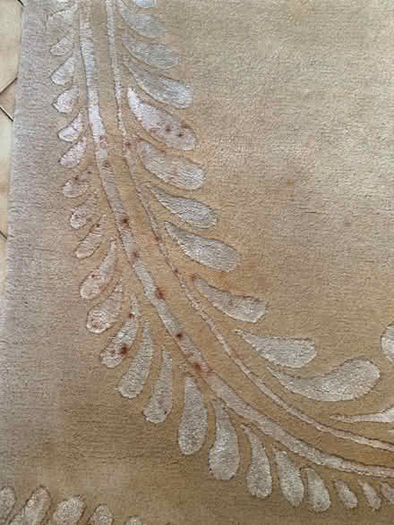 Photo of free Laura Ashley Claverton Rug 234 x 168cm (Churchstoke SY15) #4