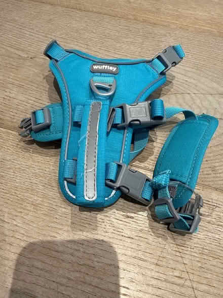 Photo of free Dog harness, for a small dog. Dachshund size (Berkhamsted HP4) #1
