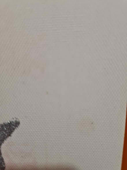 Photo of free Unicorn canvas picture (Barton OX3) #4