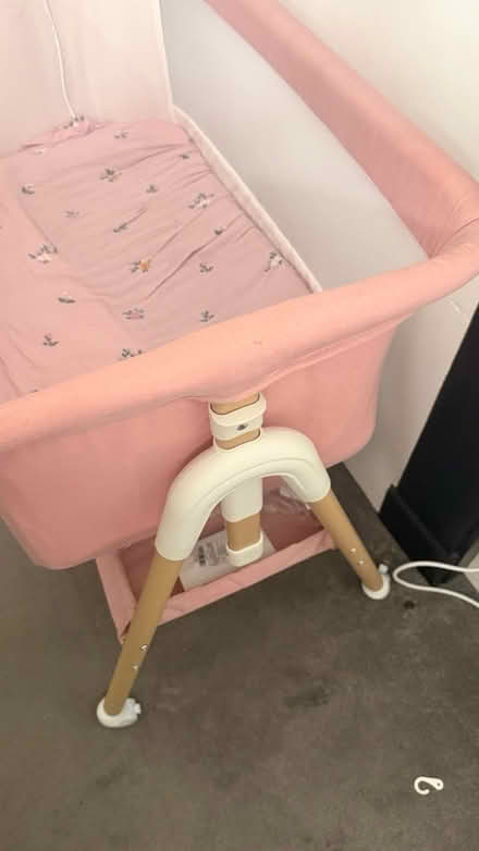 Photo of free Swing and bassinet (OX4 Cowley) #2