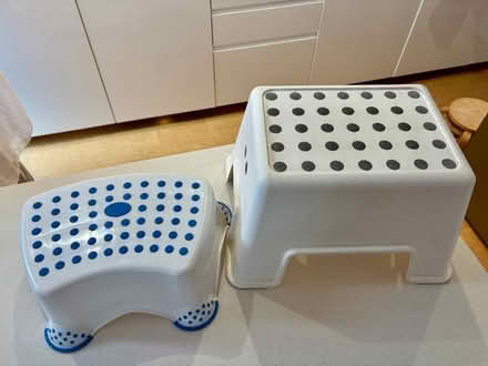 Photo of free Toilet training set (Bromley / Hayes BR2) #3