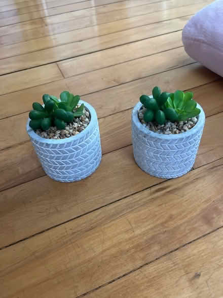 Photo of free 2 small faux plants (Woburn) #1