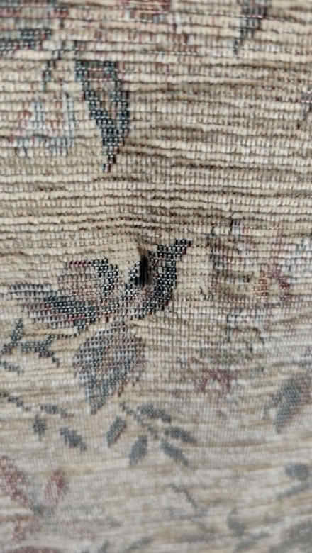 Photo of free Floral arm chair (Wessex Road SN14) #4