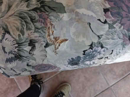 Photo of free couch (PA 19067) #4