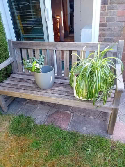 Photo of free Two house plants (Wivelsfield Green RH17) #1