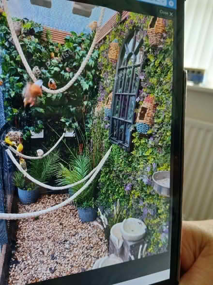 Photo of Artificial plants/fern (Condover SY5) #1