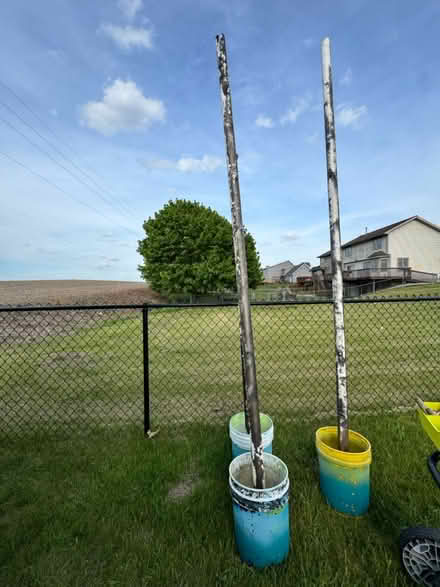 Photo of free Concrete planter buckets w/PVC pole (Cement City) #1