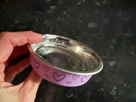 Photo of free Small pet bowl (Great Maplestead CO9) #1