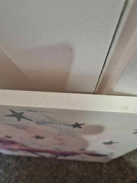 Photo of free Unicorn canvas picture (Barton OX3) #3