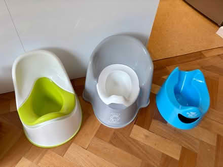 Photo of free Toilet training set (Bromley / Hayes BR2) #2