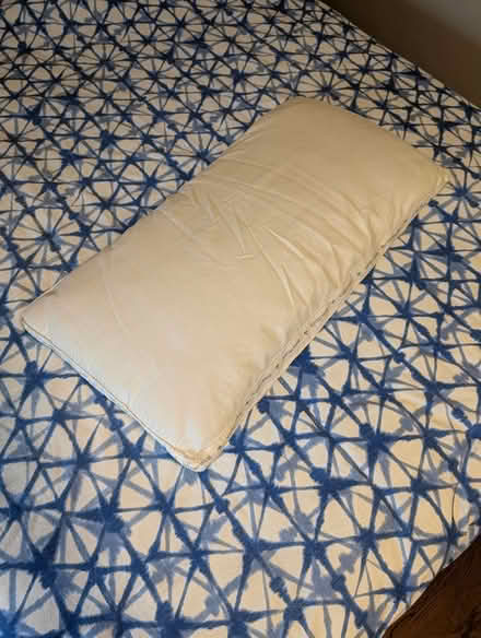 Photo of free Extra-Long Pillow (Christie Pits) #2