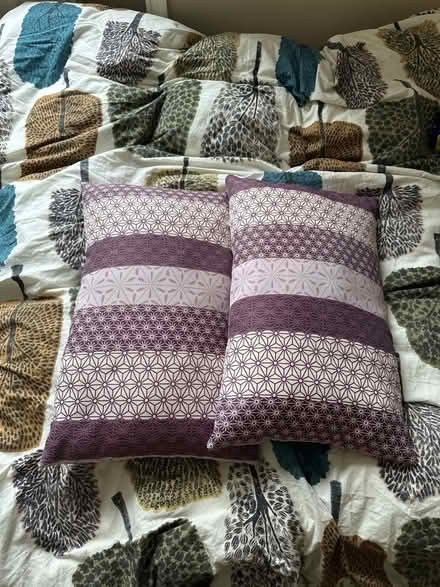 Photo of free 2x small cushions, clean (Stepney E1) #1