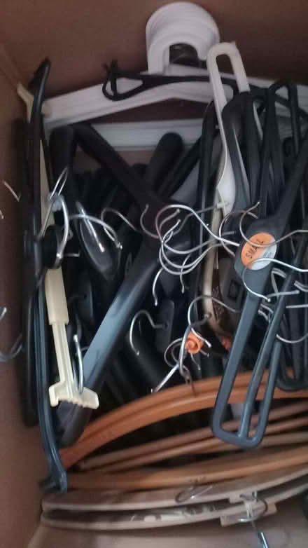 Photo of free Clothes hangers (Hathern LE12) #1