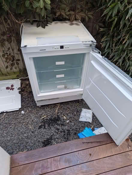 Photo of free Liebherr Integrated Freezer Under Counter Freezer (The Nurserylands TW12) #1