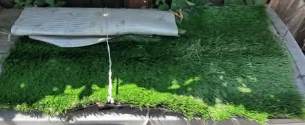 Photo of free Artificial Grass Pieces (Redwood City) #1