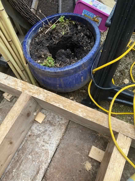 Photo of free Big pot (Newport Pagnell MK16) #1