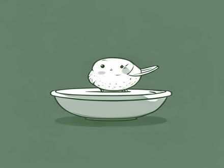 Photo of Bird Bath (Crick NN6) #1