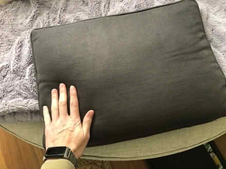 Photo of free Cushion and cover - charcoal (SE13 Deptford) #1