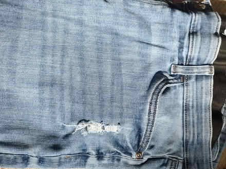 Photo of free Womens jean (Odenton) #2