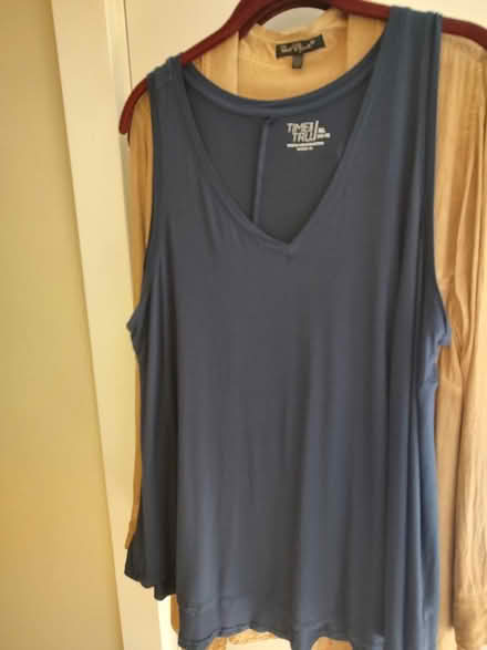 Photo of free Old Navy tank (Odenton) #1