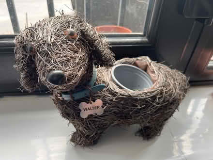 Photo of free Dog planter (Tooting SW19) #1
