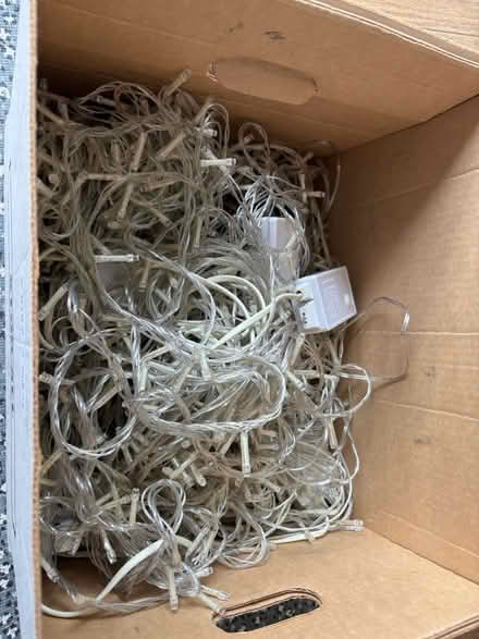 Photo of free Fairy lights - multiple, long sets (Penarth CF64) #1