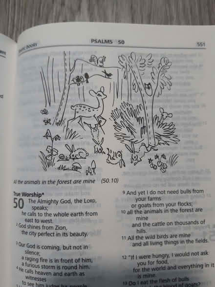 Photo of free Good New Bible, kids/youth edition (Gilmerton EH17) #4