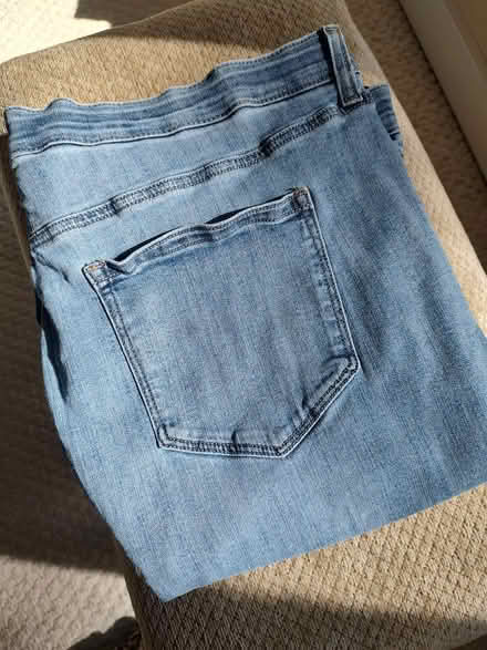 Photo of free Womens jean (Odenton) #1