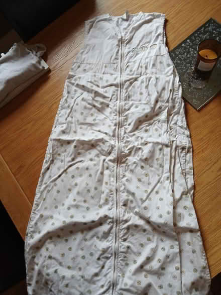 Photo of free 2 sleeping baby bags (Parkhead EH11) #3