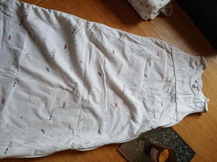 Photo of free 2 sleeping baby bags (Parkhead EH11) #1