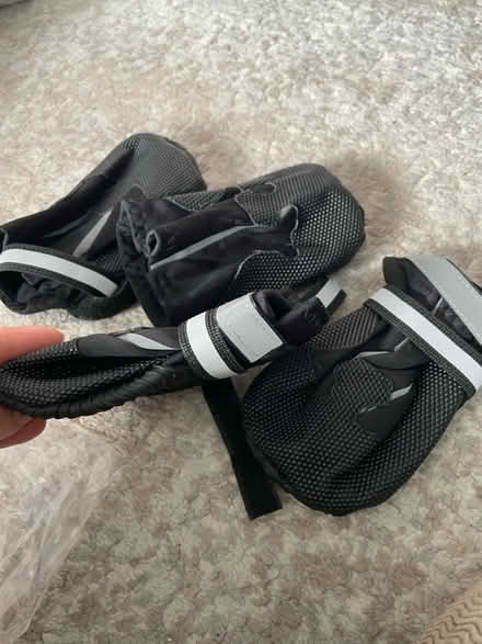 Photo of free 2 pairs of Toddler water shoes new (Musselburgh) #3