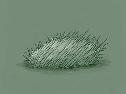 Photo of Real grass turf. (Havant PO9) #1