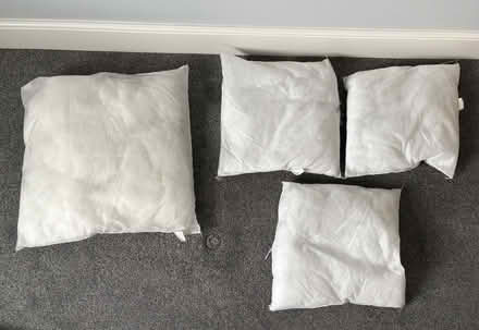 Photo of free Four cushions without covers, unused, 54x54cm, 40x40cm (Douglas IM2) #1