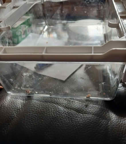 Photo of free Small fridge box (Kirkstall LS5) #1