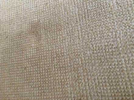 Photo of free Next wool rug 122 x 177cm, white/ green (Churchstoke SY15) #3