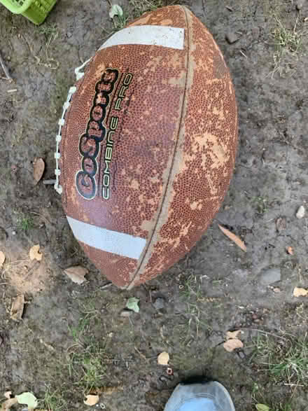 Photo of free Stuff from my garden shed (Piedmont) #2
