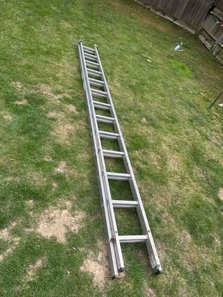Photo of free Long ali ladder (Leigh) #1