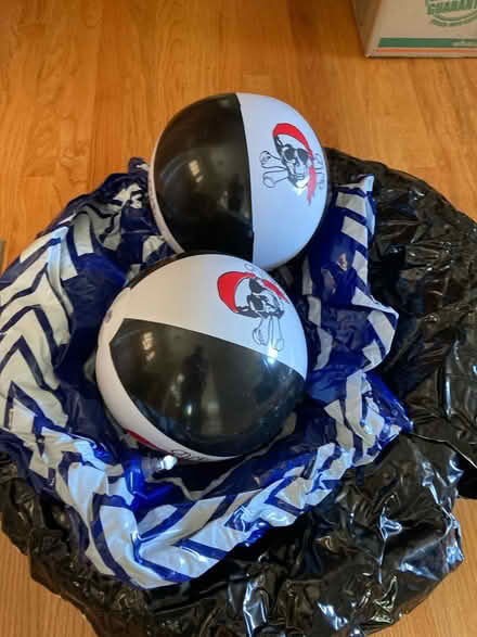 Photo of free Pool inflatable rings/balls (Sunnyvale near Ortega Park) #1