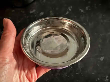 Photo of free Small pet bowl (Great Maplestead CO9) #2