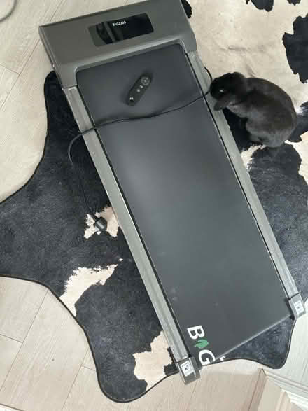 Photo of free Walking pad (Stevenage SG1) #1
