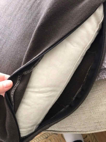 Photo of free Cushion and cover - charcoal (SE13 Deptford) #4