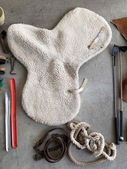 Photo of free Variety of horse care items (West Chester Borough) #2