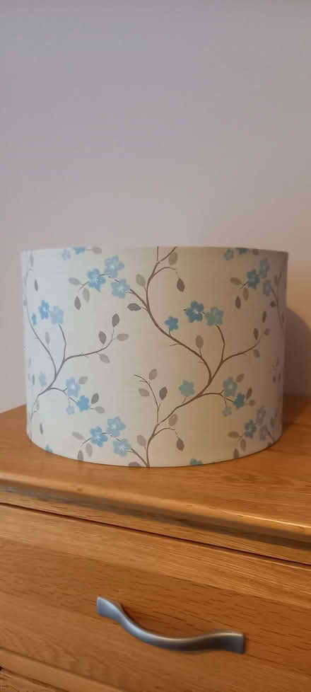 Photo of free lamp shade (Ashton Green BN8) #1