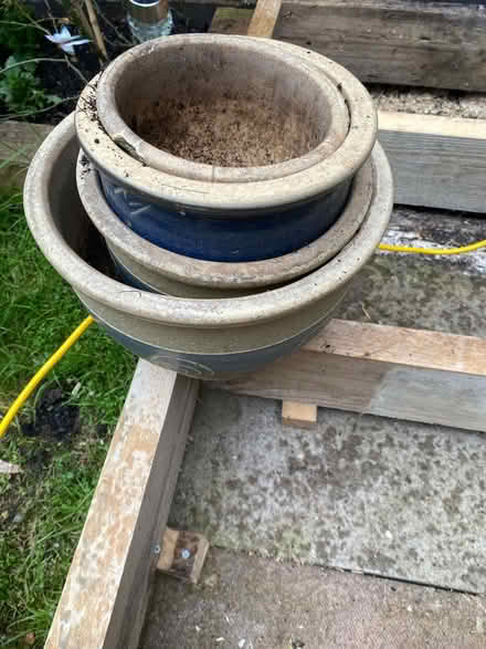 Photo of free Golden pots 4 (Newport Pagnell MK16) #1