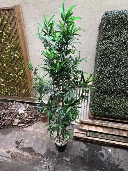 Photo of free X2 Fake bamboo plants (SE1 2DF) #2