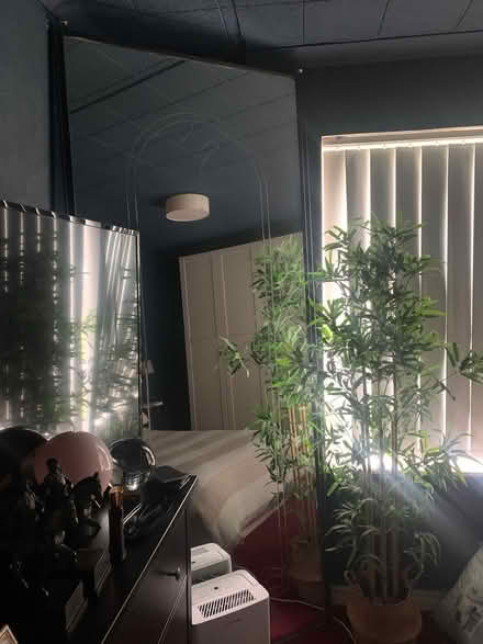 Photo of Tall wardrobe door mirror (Westcliff SS0) #2