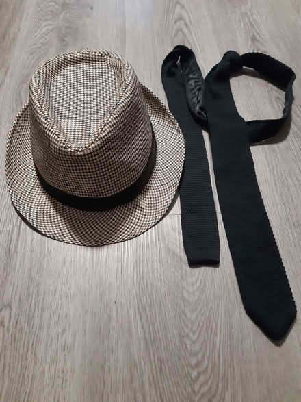 Photo of free Vintage style hat + 1970s style retro slim tie :) (Gilmerton EH17) #3