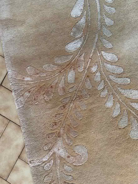 Photo of free Laura Ashley Claverton Rug 234 x 168cm (Churchstoke SY15) #3